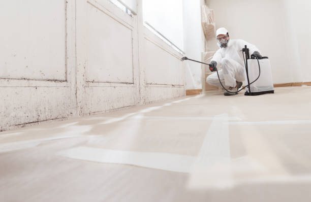 24/7 Emergency Mold Remediation experts in Unionville, NC